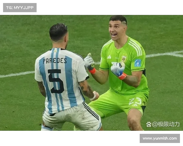 意大利足球甲级联赛都灵伊万伊利奇远射破门