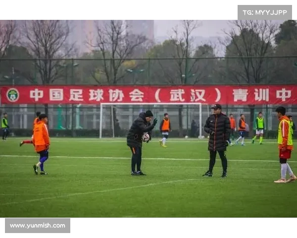 中国足球未来的星星之火：青训系统的重建