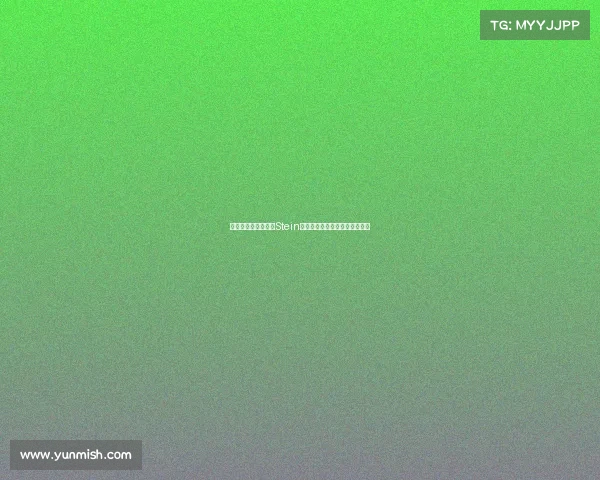 联盟中的传奇传承：Stein与罗伊斯的默契搭档与成长之路